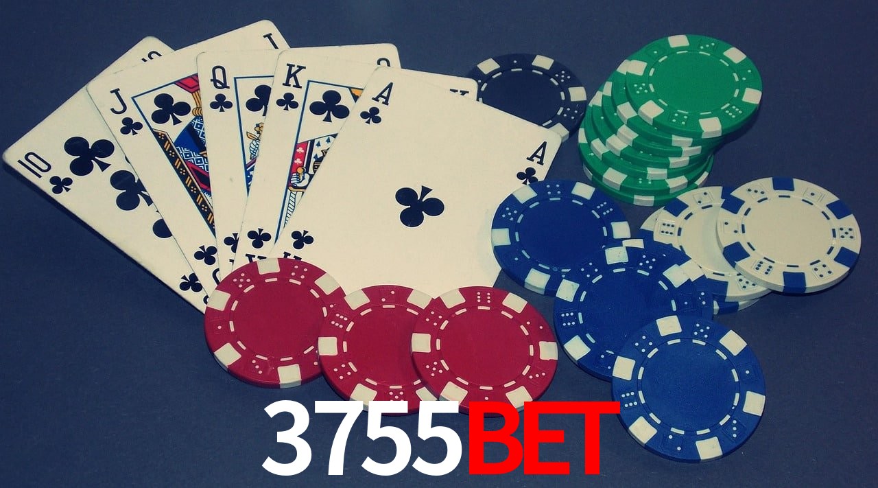 Experiência VIP 3755bet